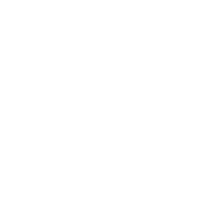 Language